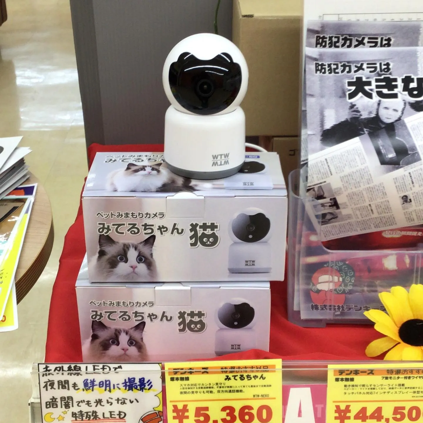 デンキーズおすすめ商品💕